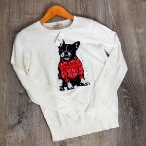 LOFT by ann Taylor sweater